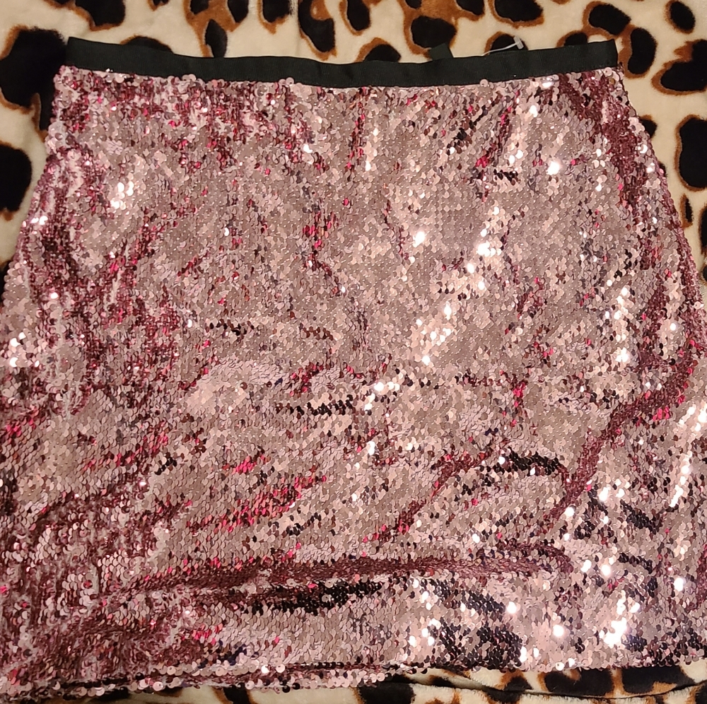 Sequin Skirt